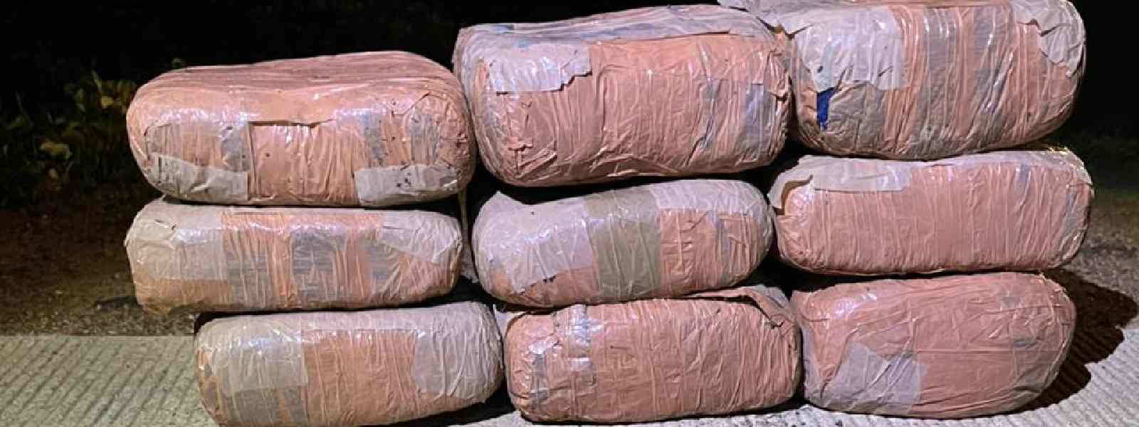 මරදන්කේනි ප්‍රදේශයේදී කේරල ගංජා 14kgක් අත්අඩංගුවට